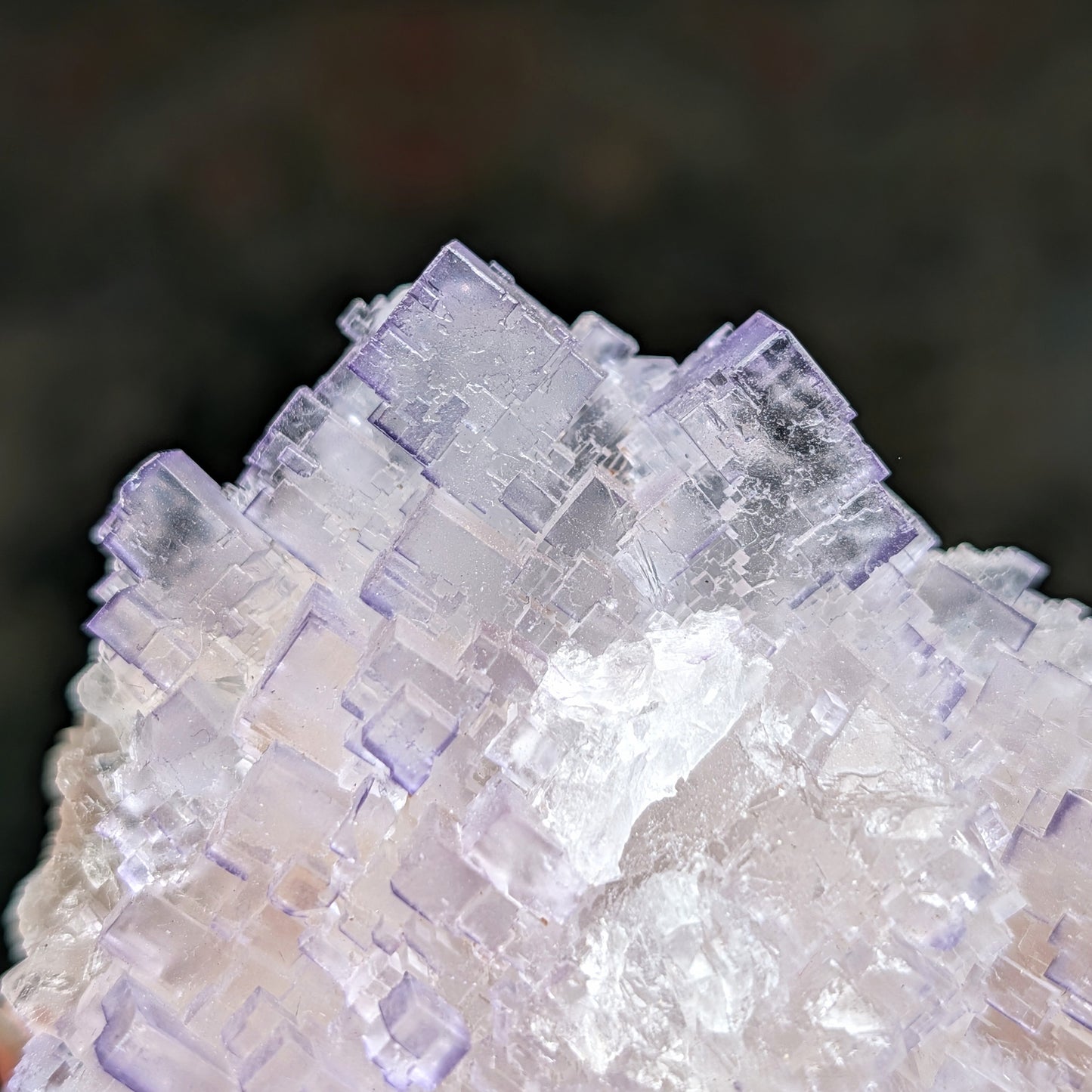 Múzquiz Fluorite