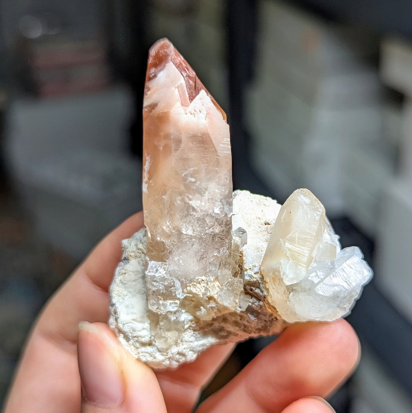 Amphibole Quartz