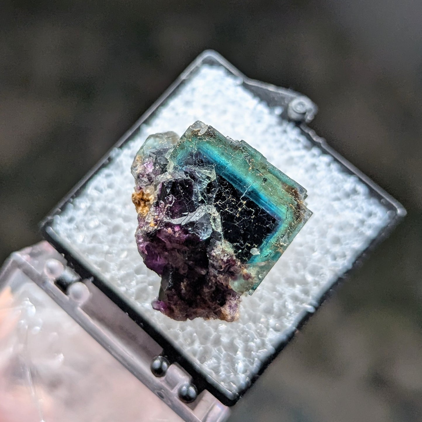 Okorusu Mine Fluorite Perky Box