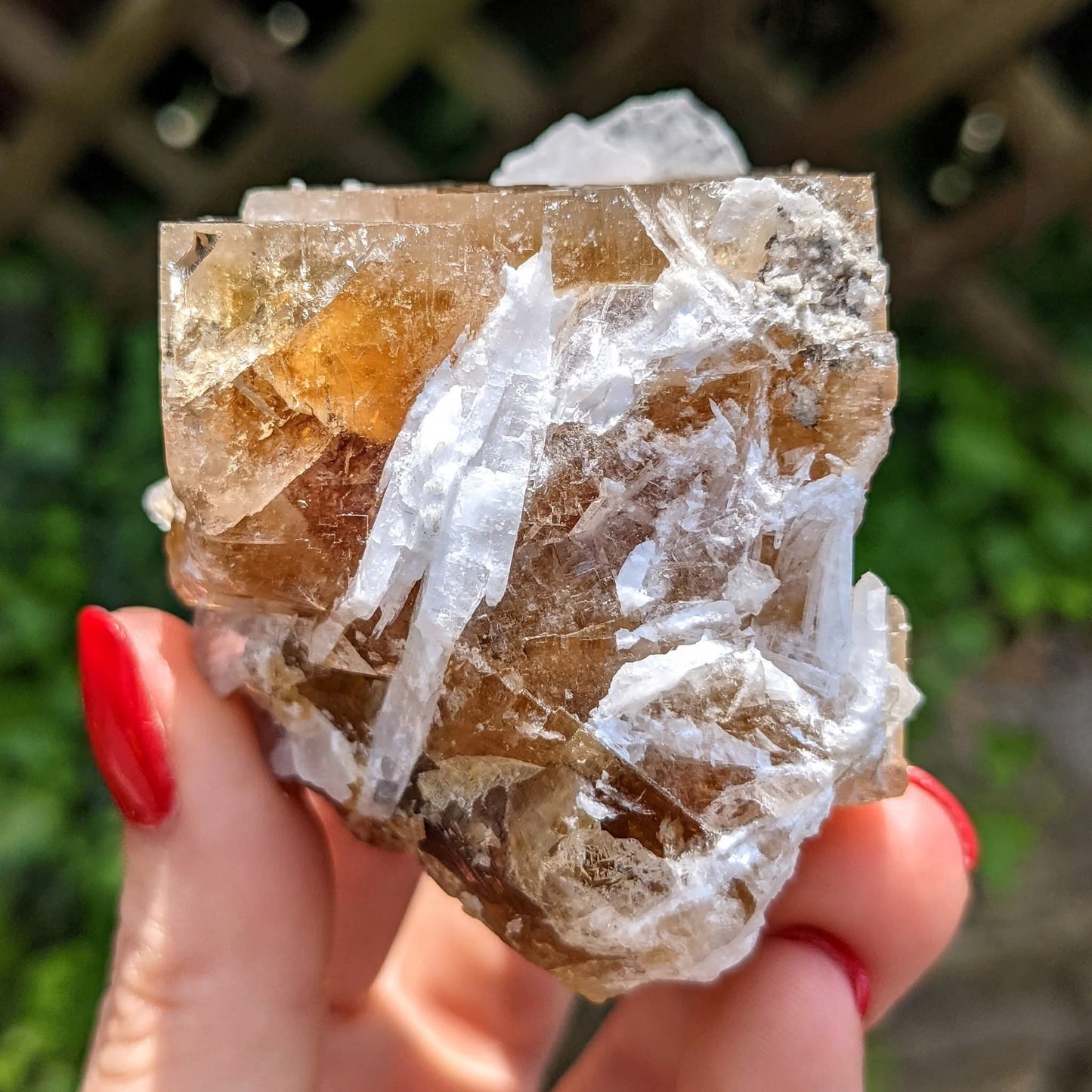 Clay Center Fluorite and Celestine