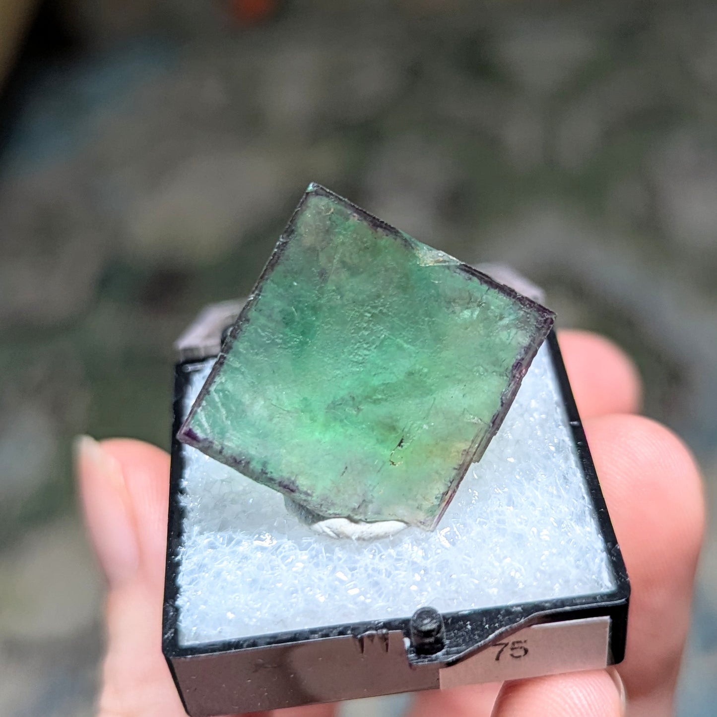 Okorusu Mine Fluorite Perky Box