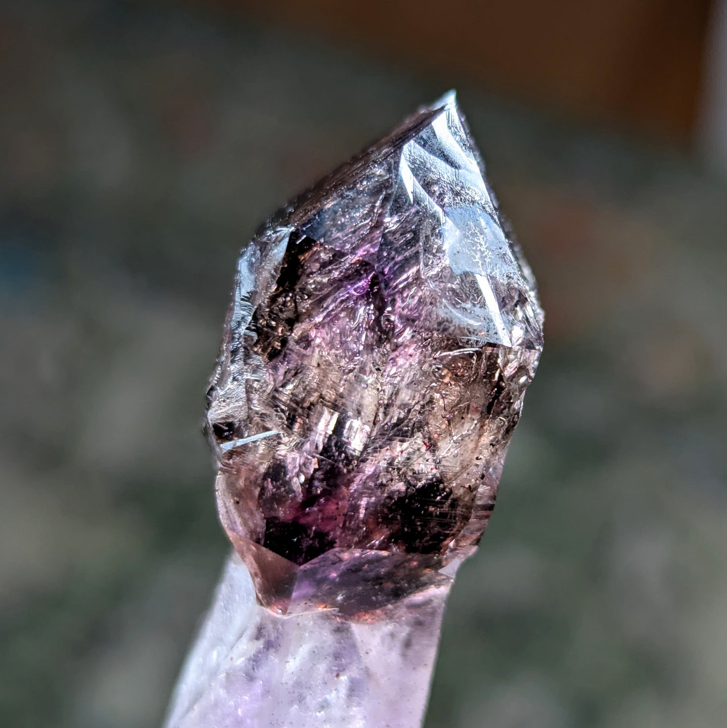 Chibuku Mine Amethyst Scepter w. Enhydros