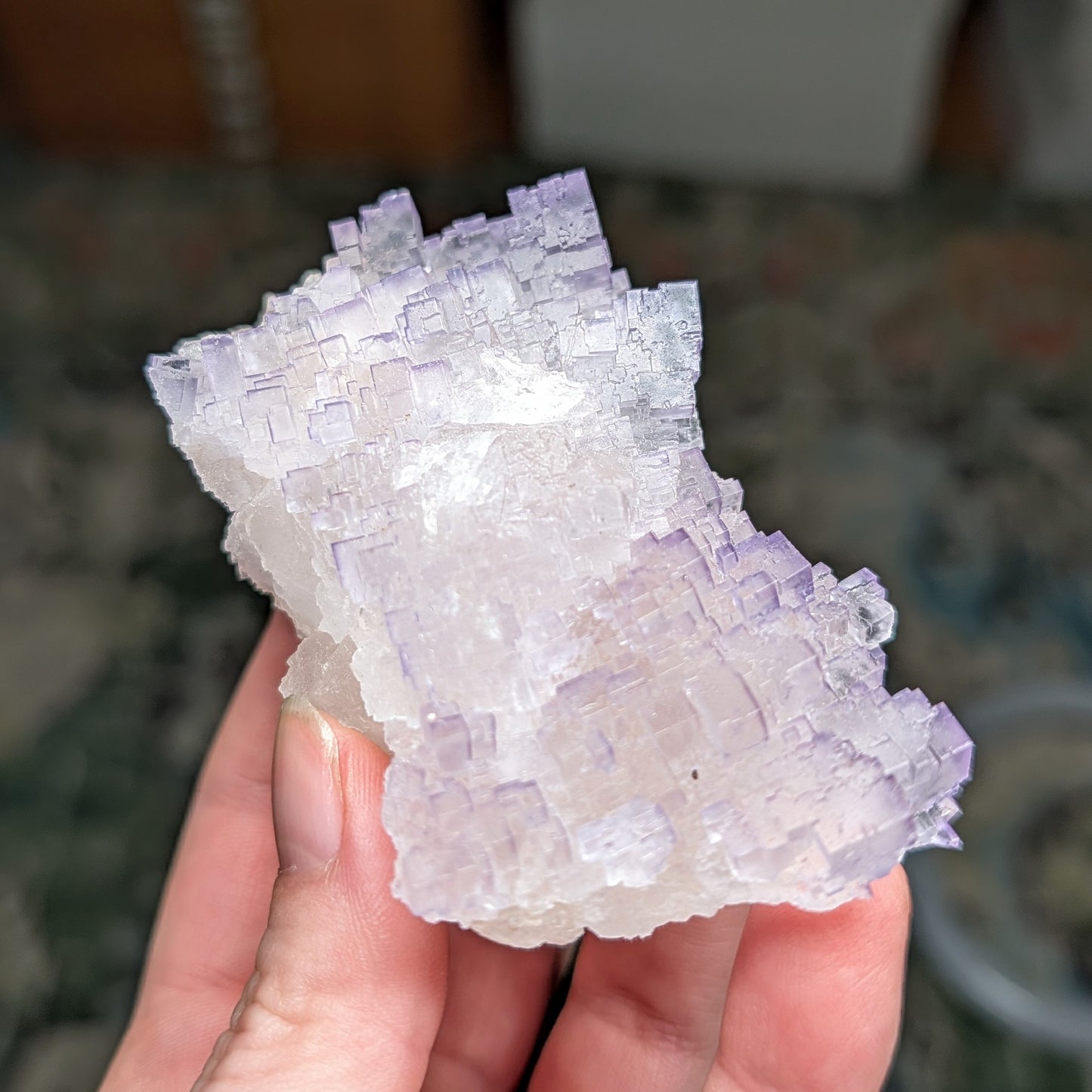 Múzquiz Fluorite