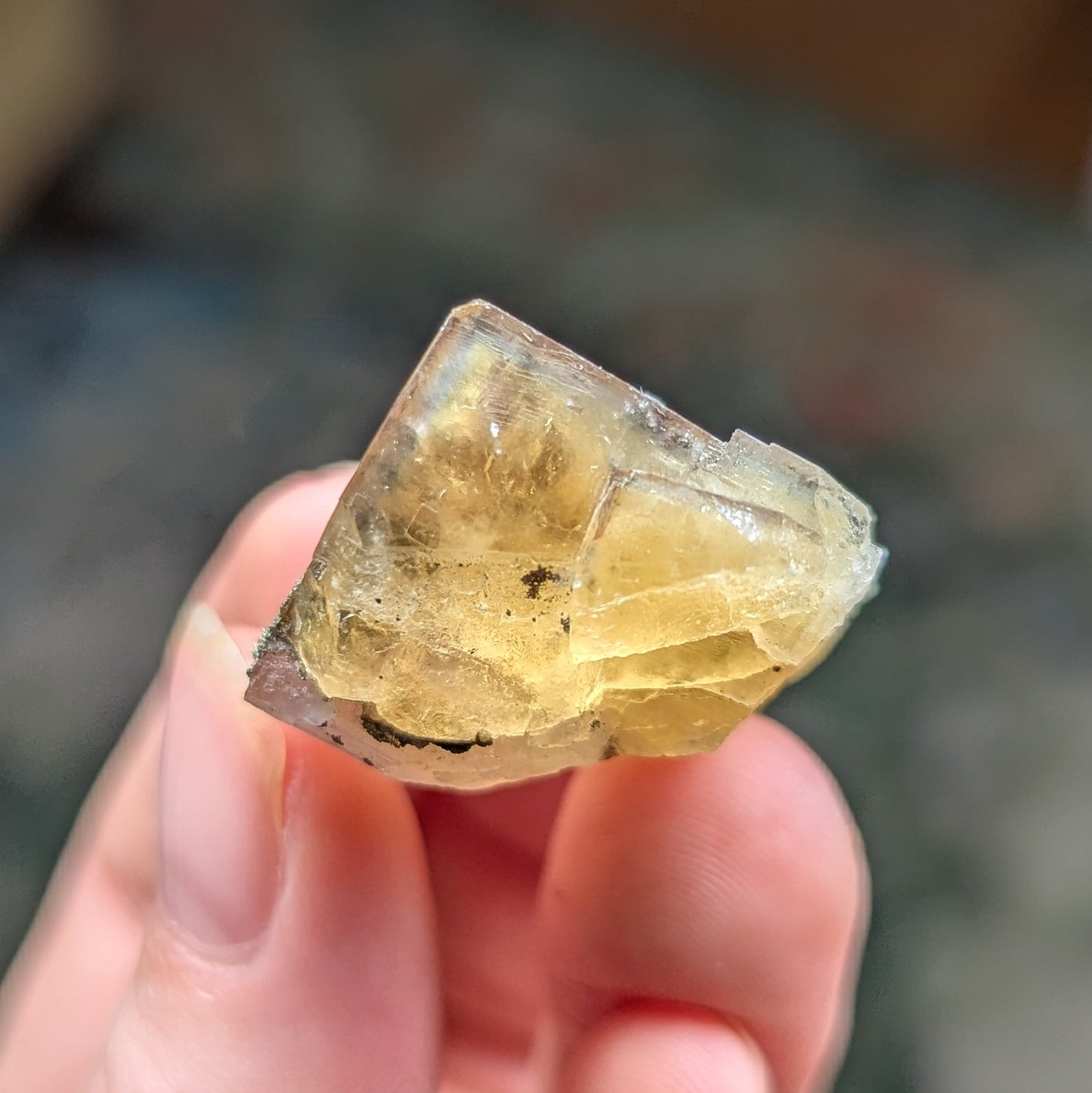 El Hammam Mine Fluorite