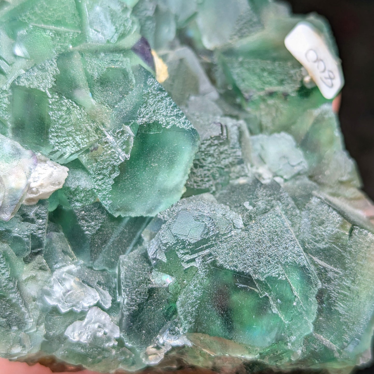 Okorusu Mine Fluorite