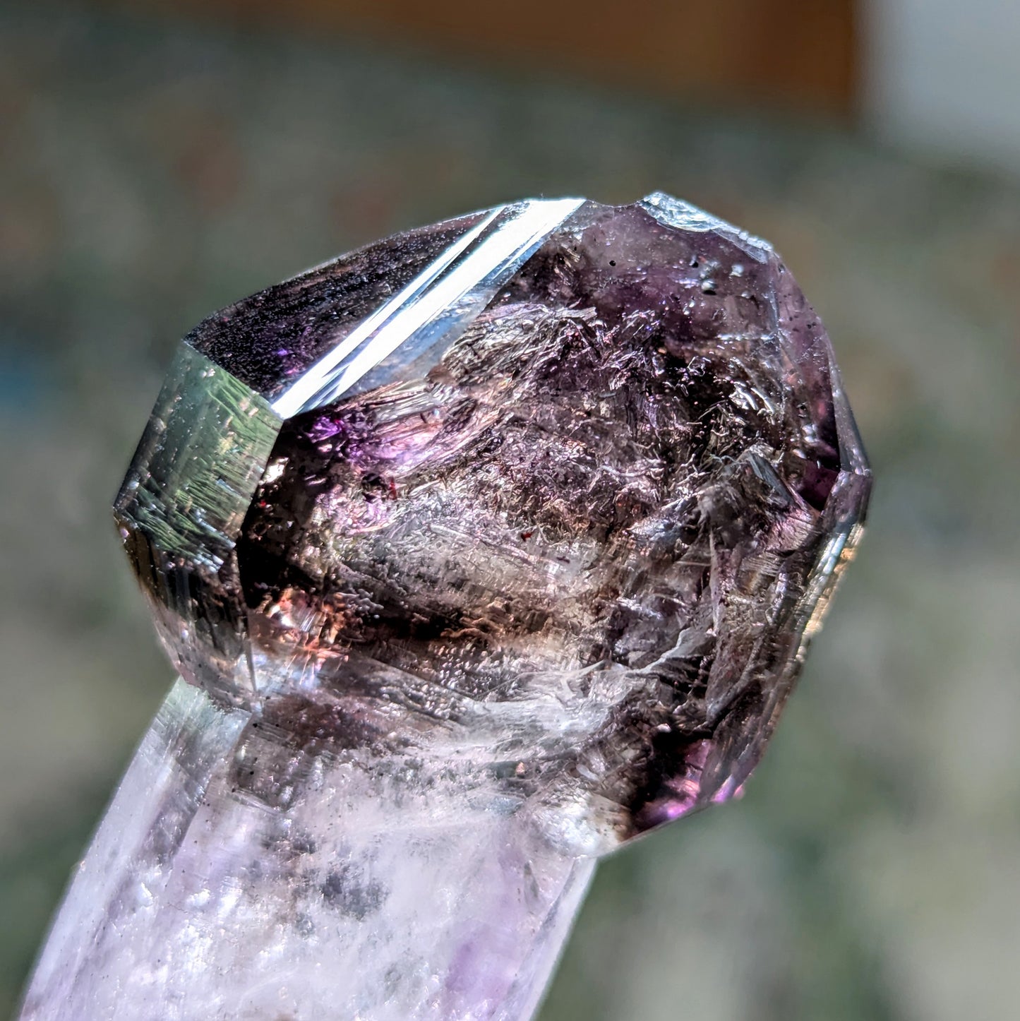 Chibuku Mine Amethyst Scepter w. Enhydros