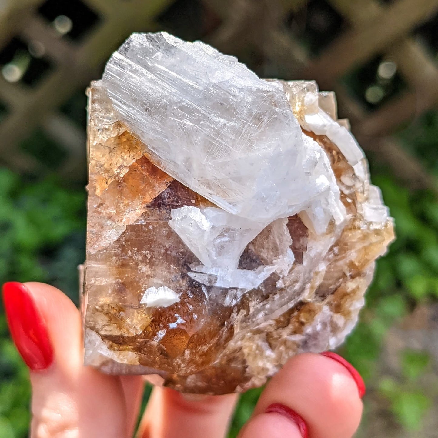 Clay Center Fluorite and Celestine