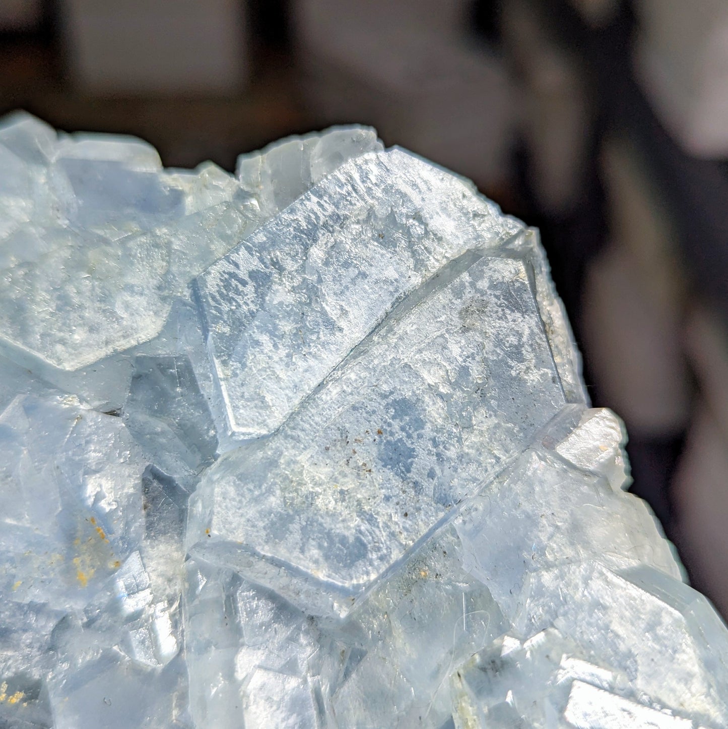 Ohio Celestine