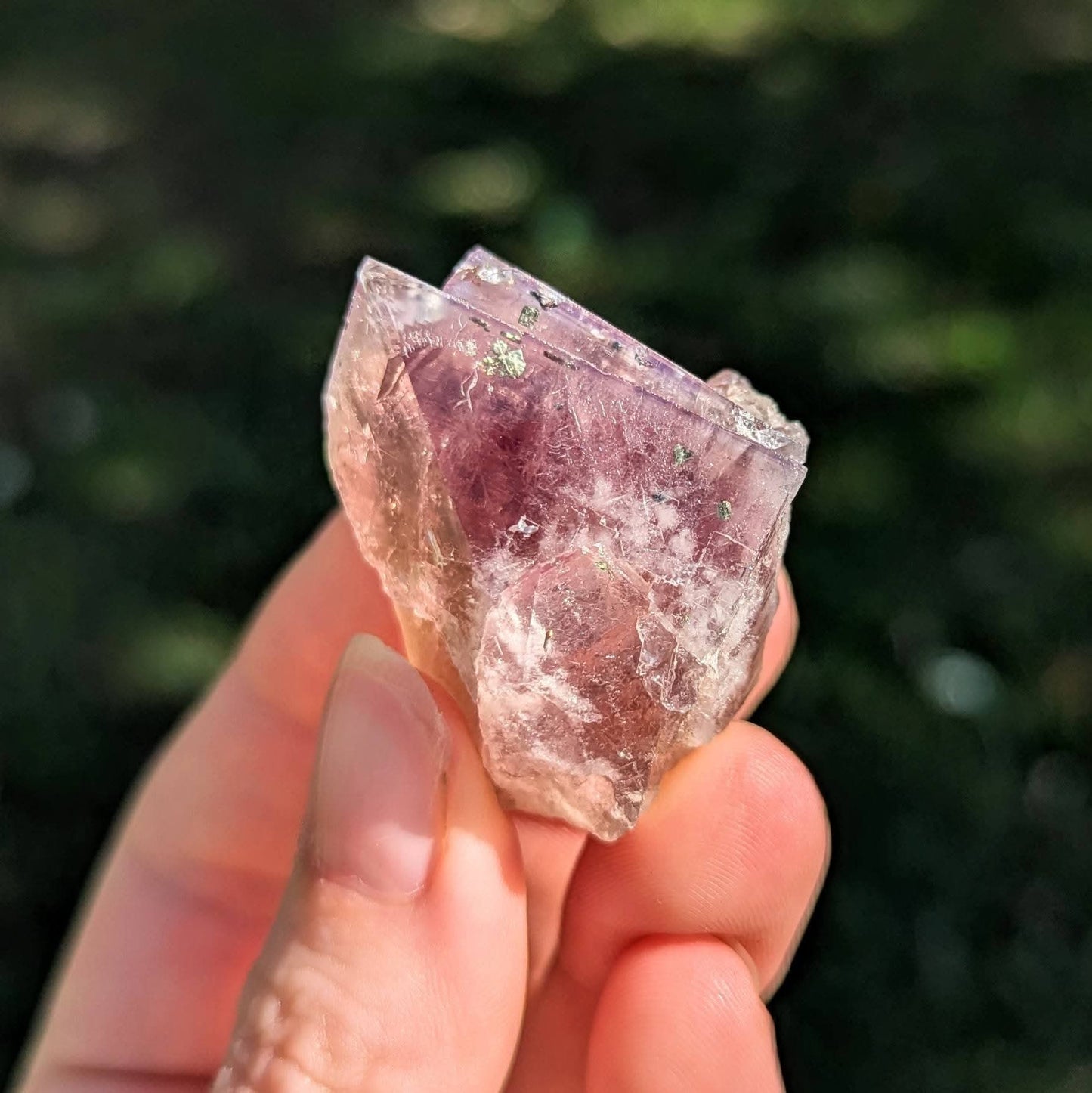 Harvest Pocket England Fluorite
