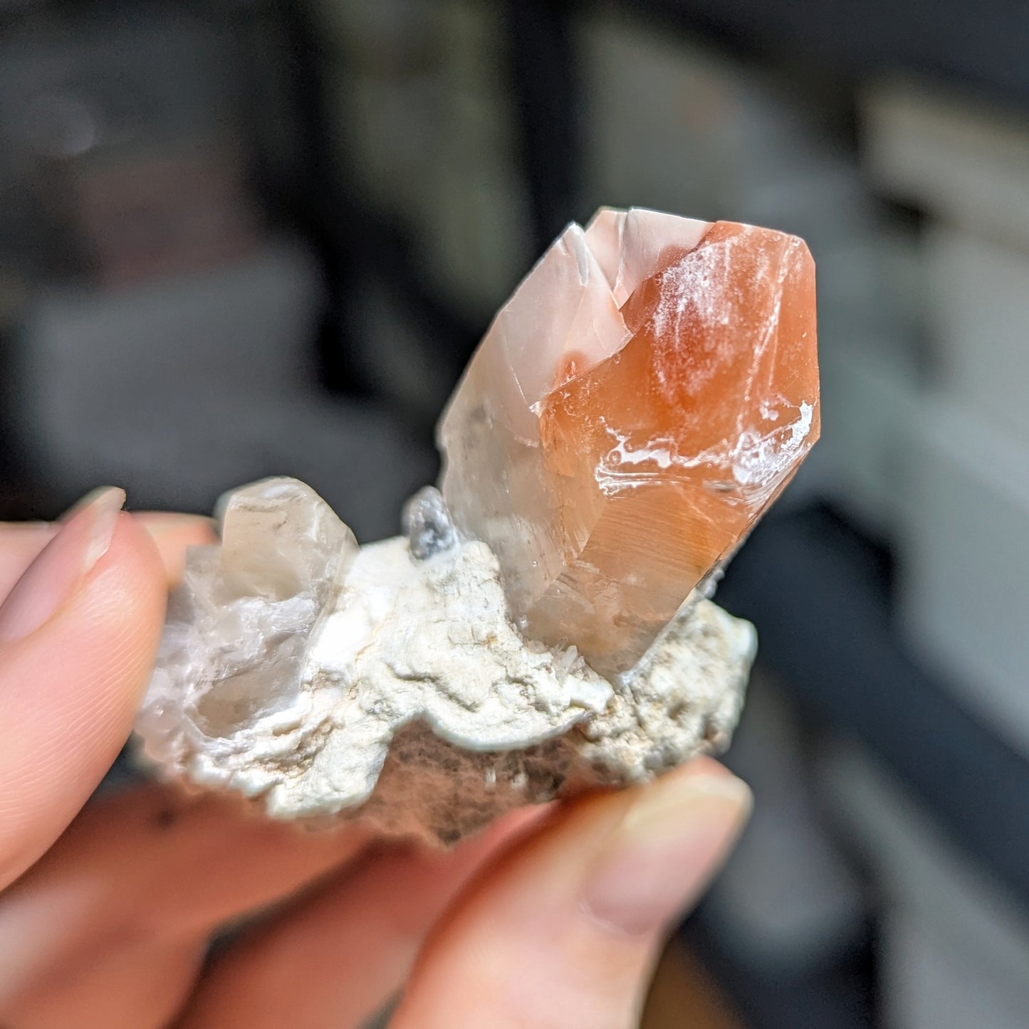Amphibole Quartz