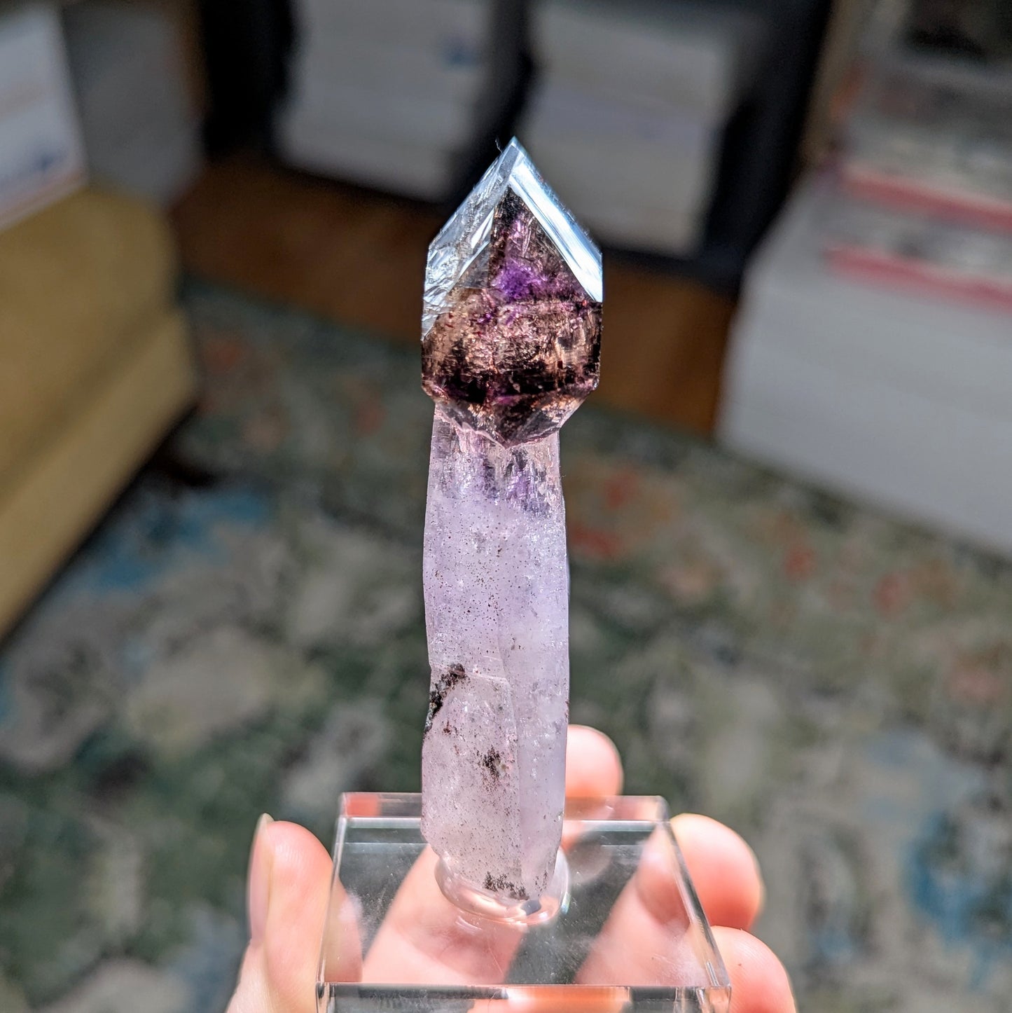 Chibuku Mine Amethyst Scepter w. Enhydros