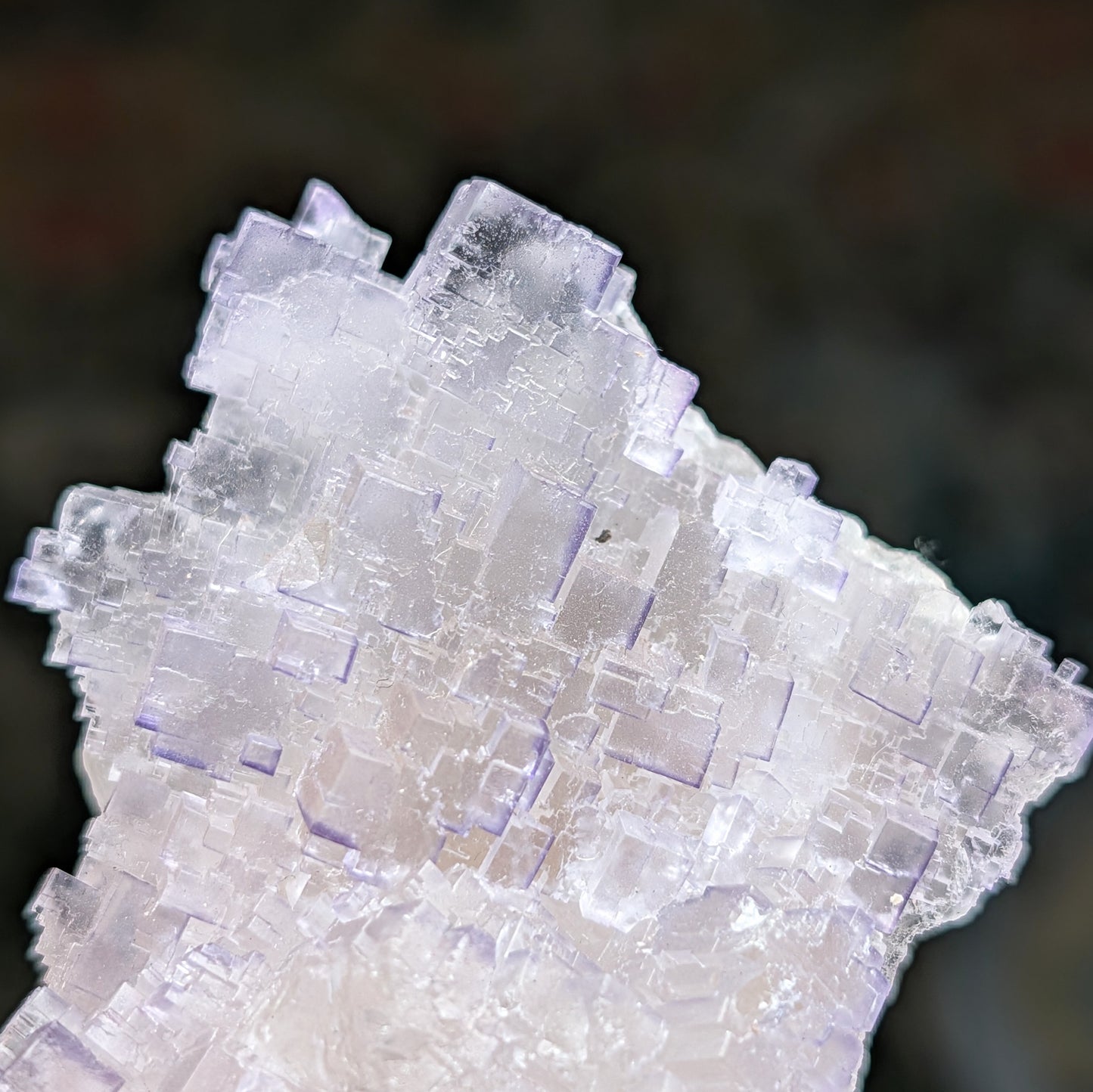 Múzquiz Fluorite