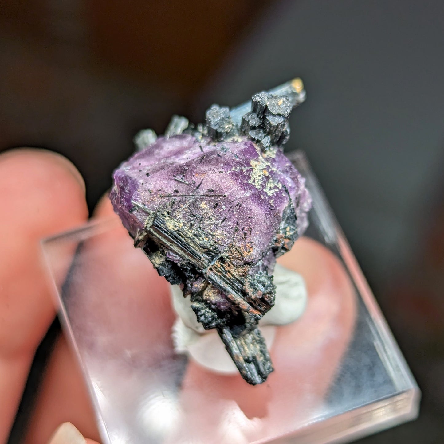 Erongo Fluorite with Aquamarine, Schorl