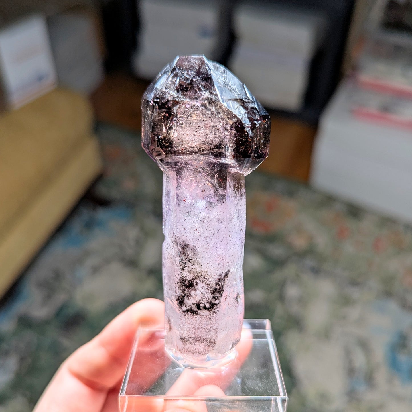 Chibuku Mine Amethyst Scepter w. Enhydros