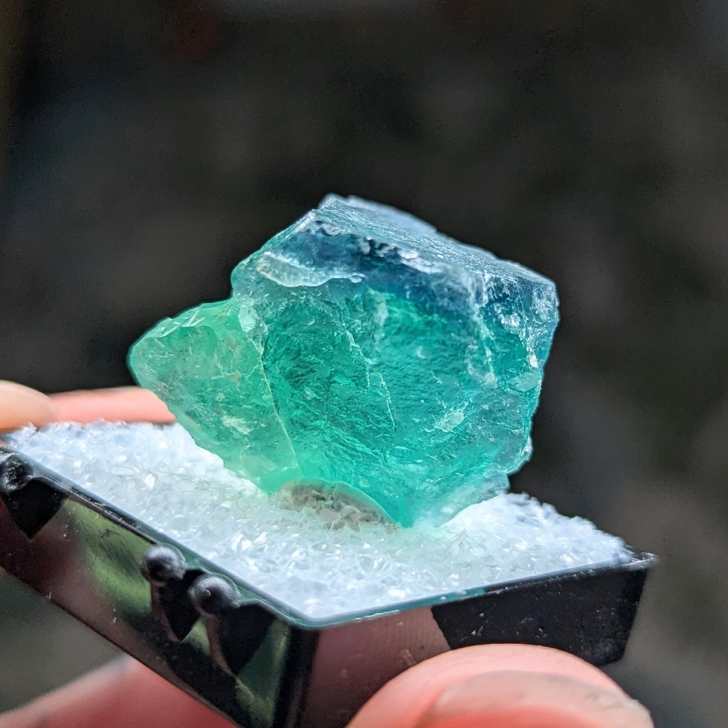 Okorusu Mine Fluorite Perky Box