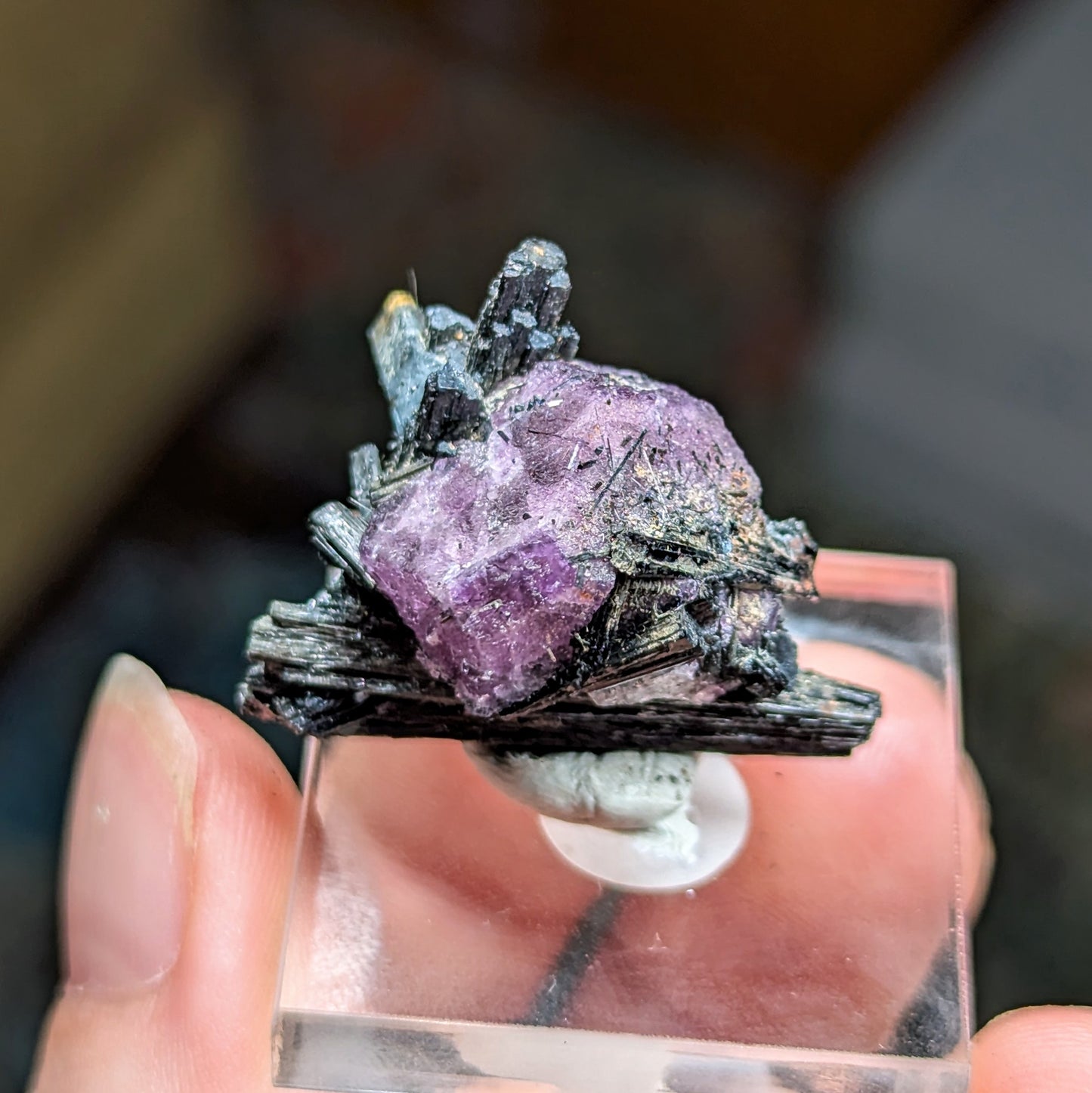 Erongo Fluorite with Aquamarine, Schorl