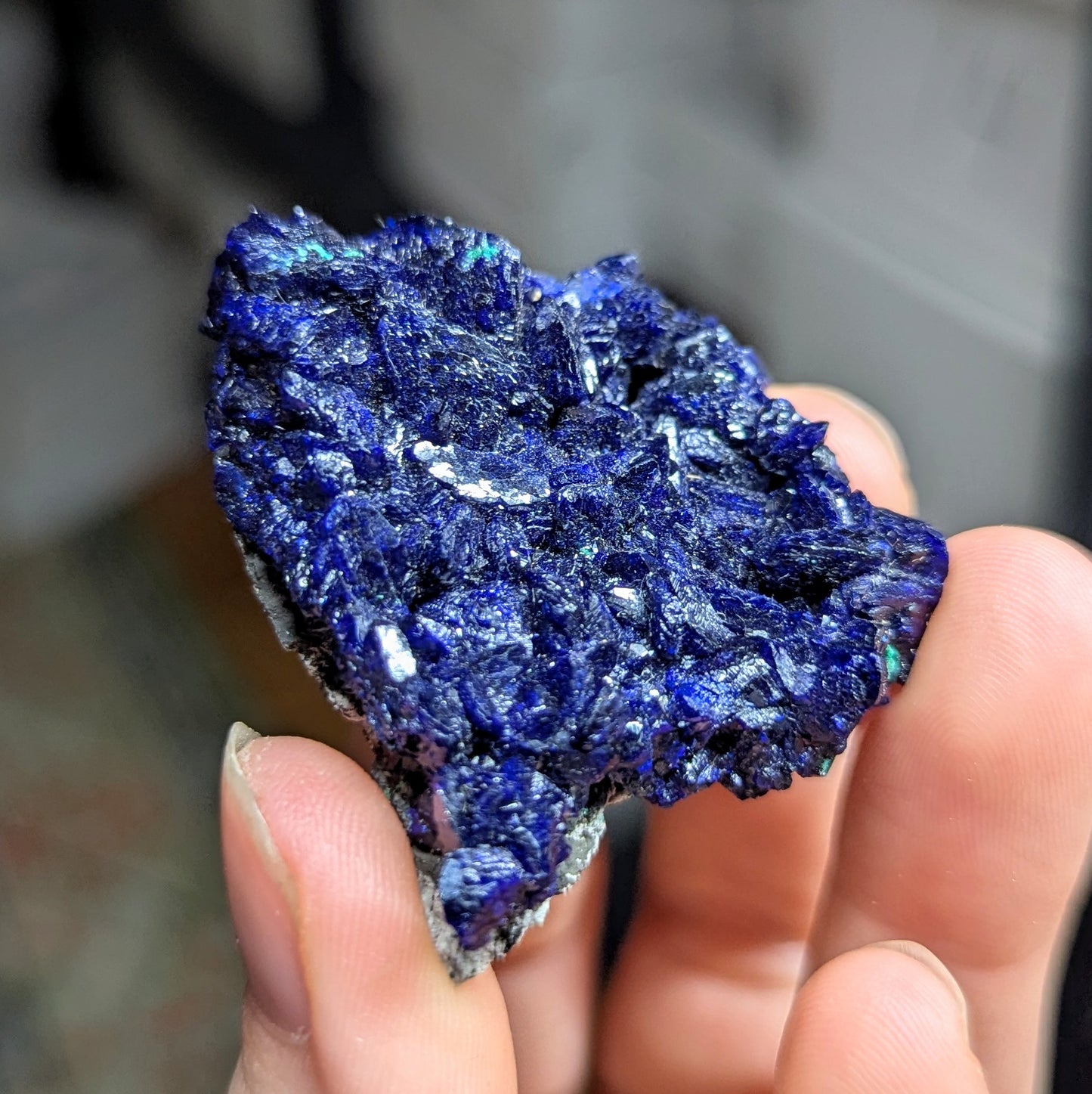 Milpillas Mine Azurite