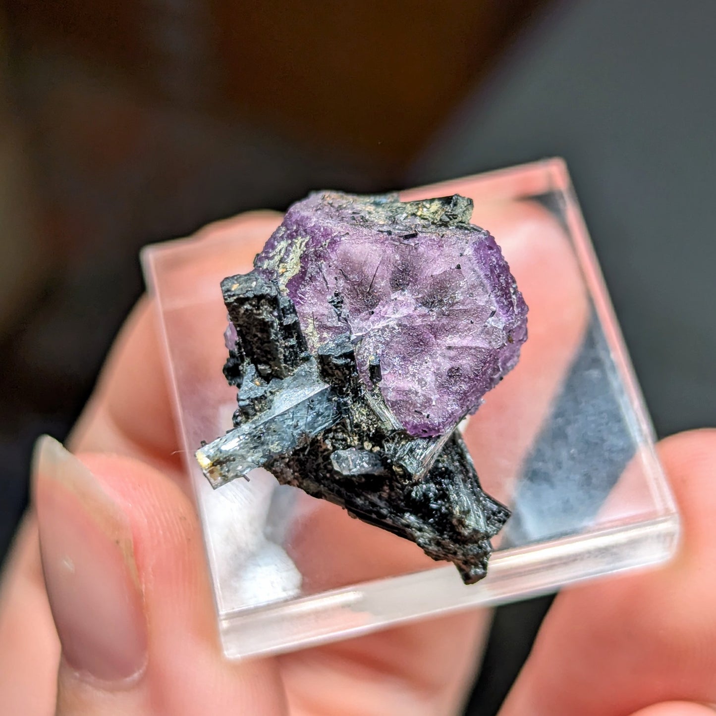 Erongo Fluorite with Aquamarine, Schorl