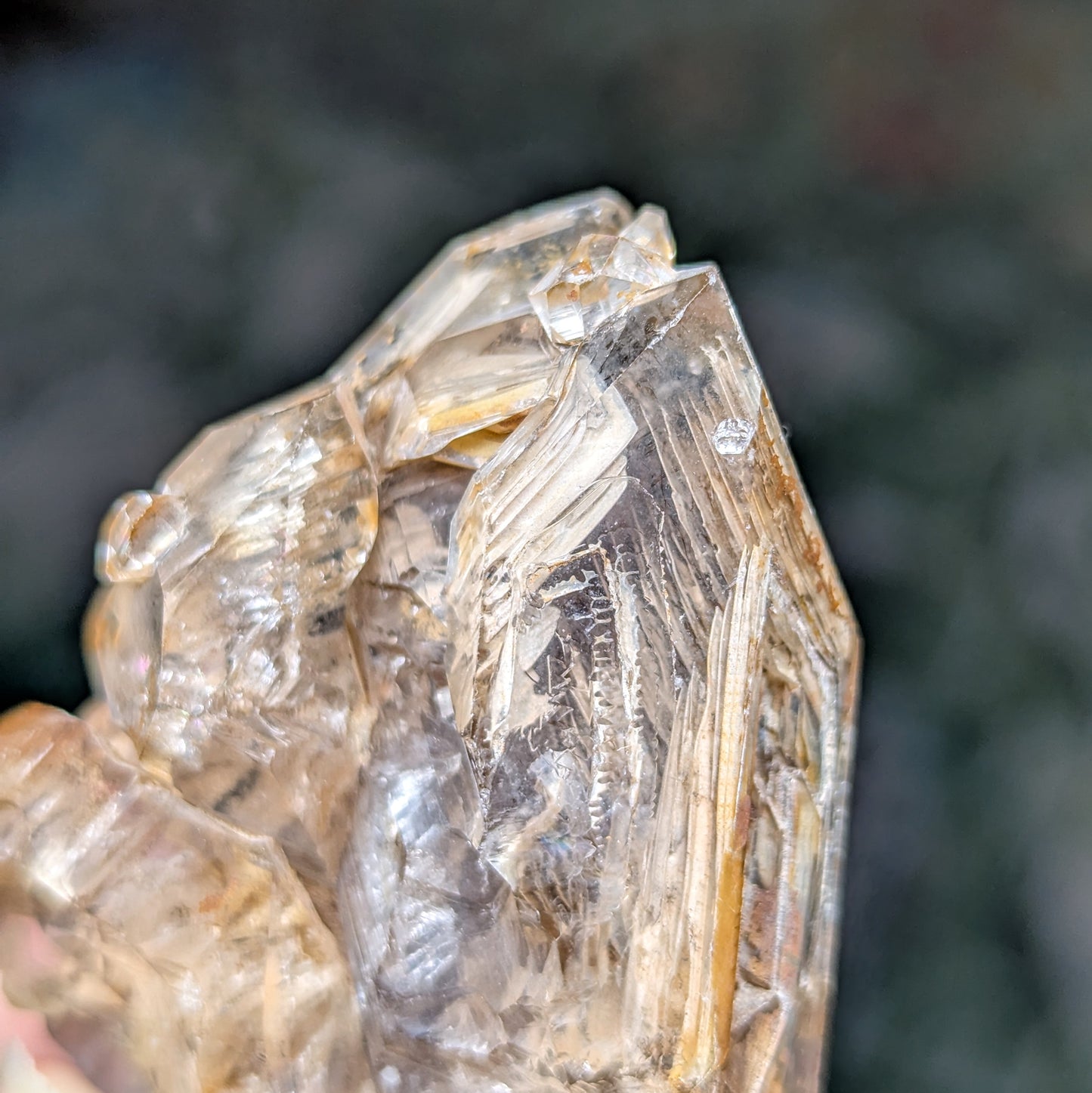 Skeletal Fenster Quartz