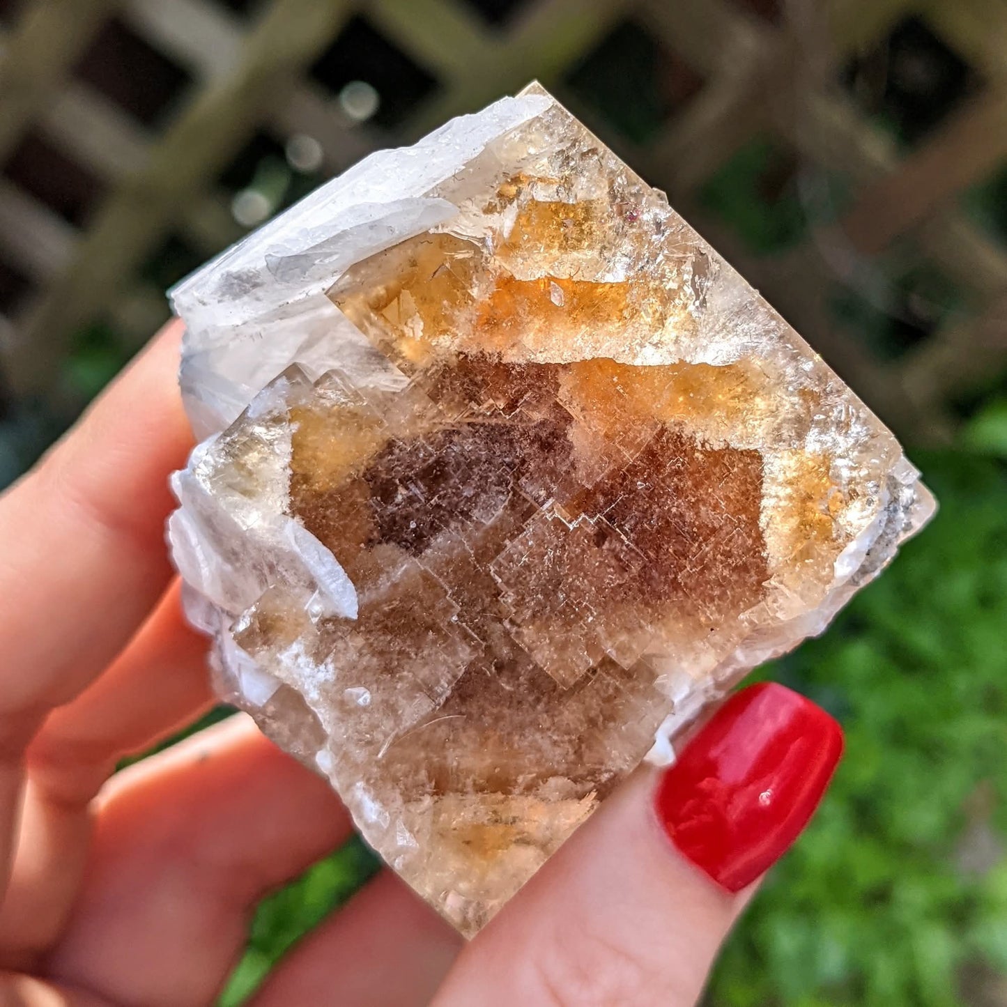 Clay Center Fluorite and Celestine