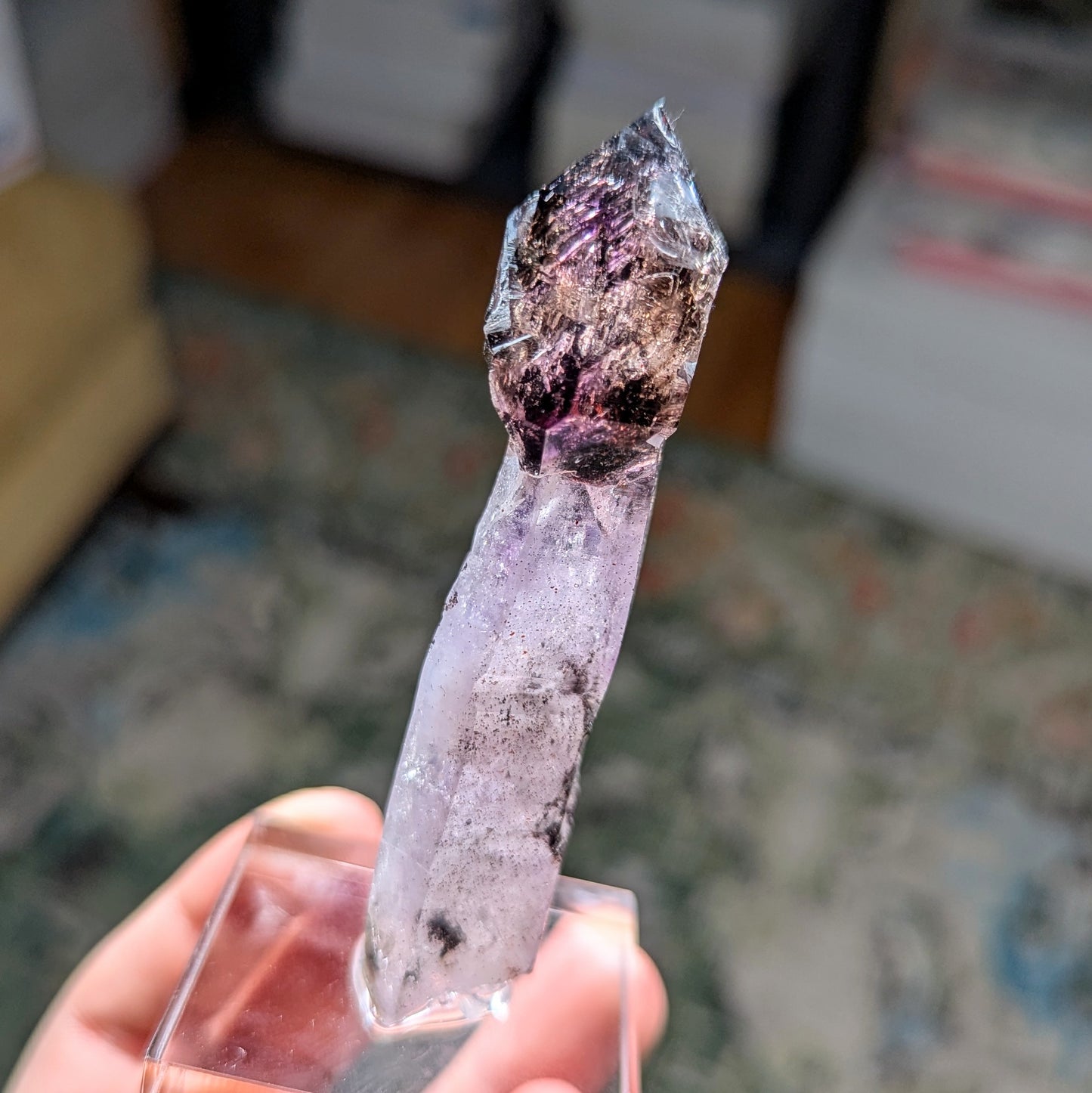 Chibuku Mine Amethyst Scepter w. Enhydros