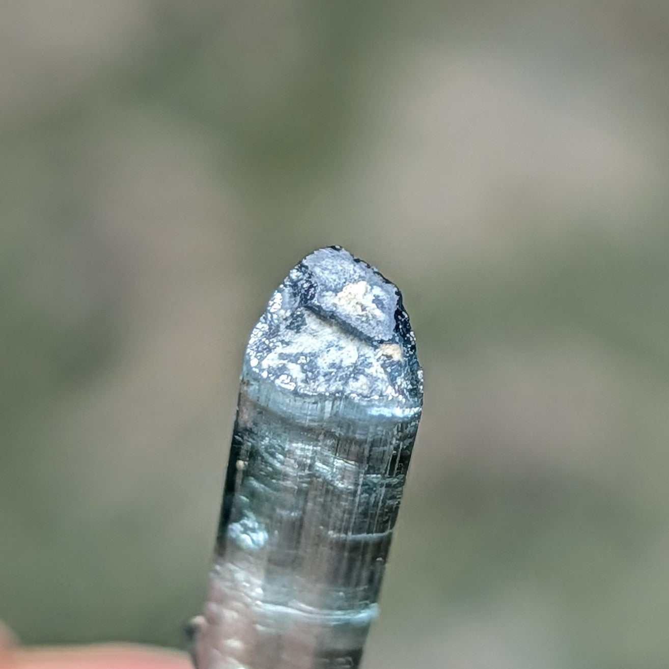 Pederneria Mine Tourmaline