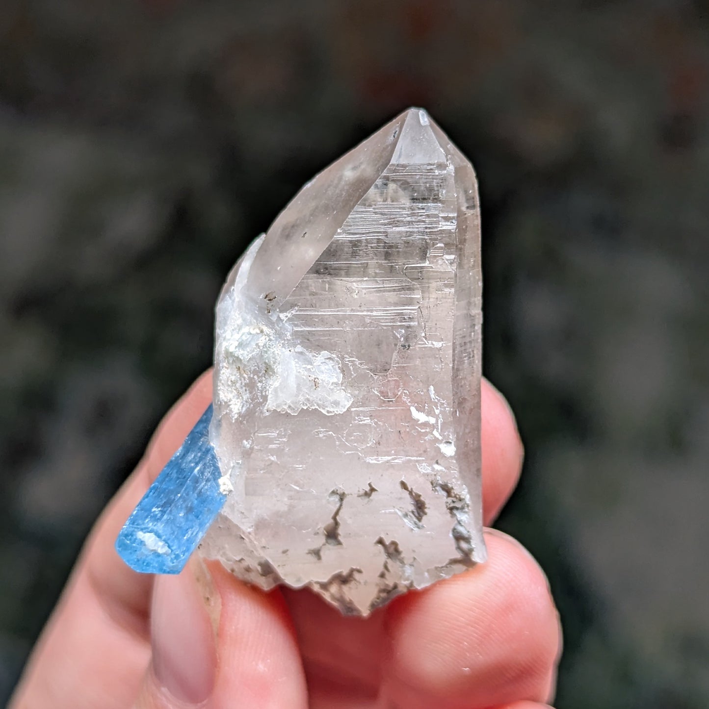 Vietnam Aquamarine and Quartz