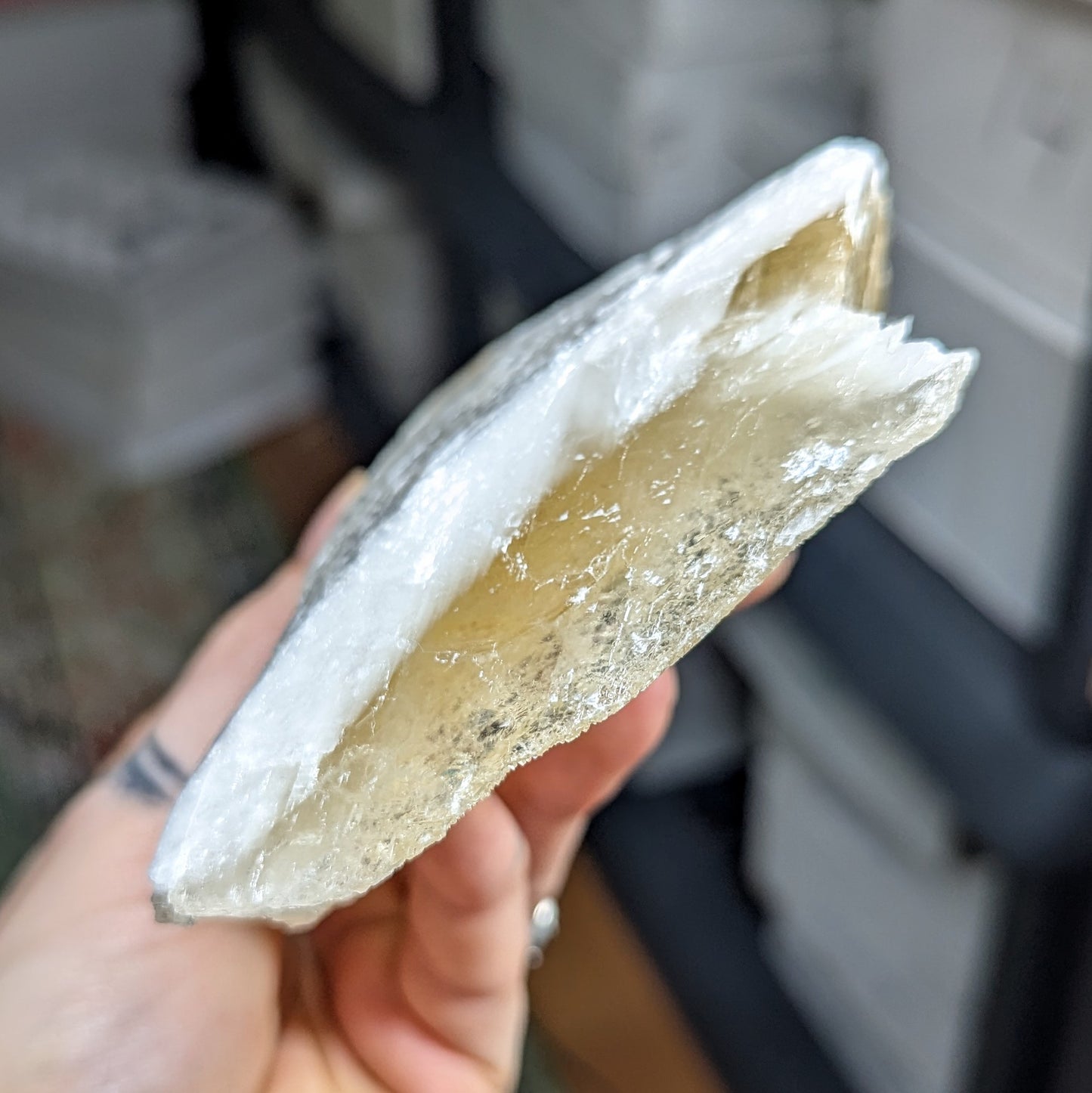 Angel Wing Calcite