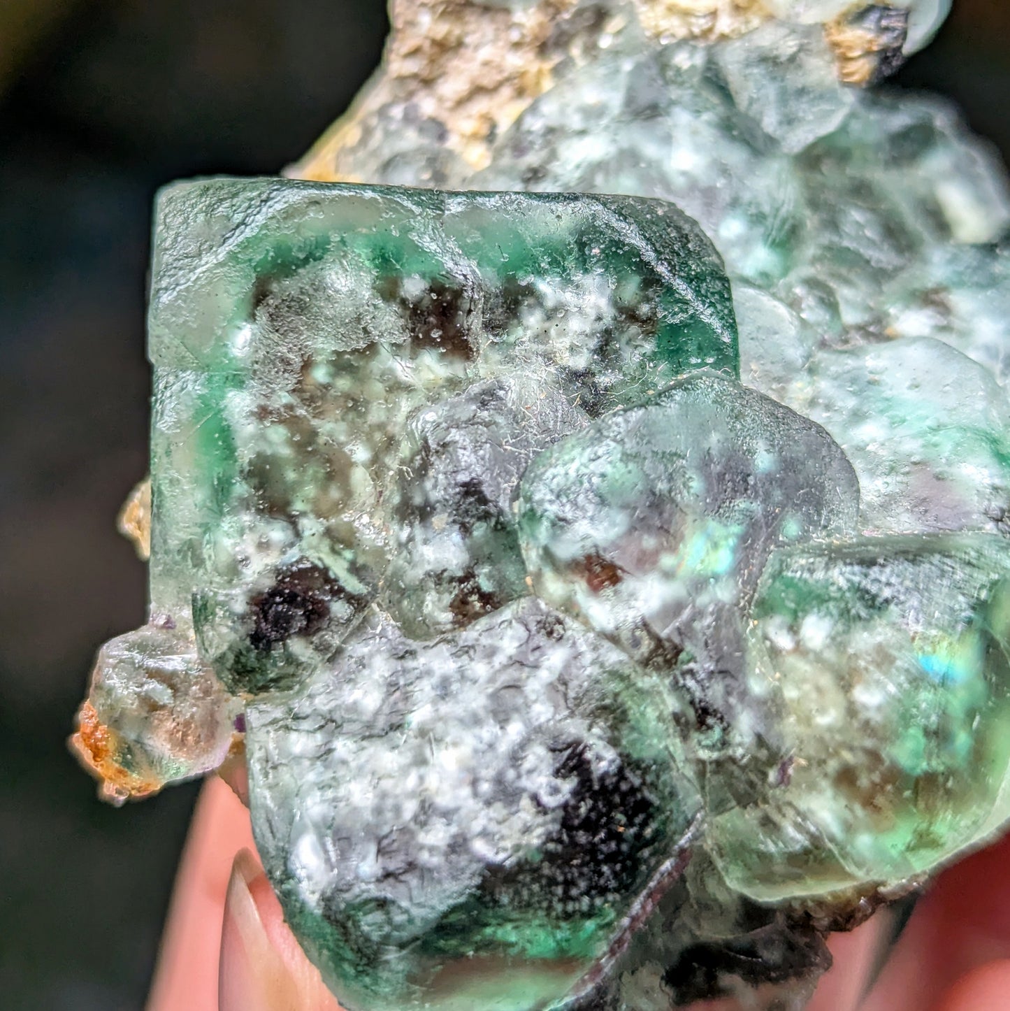 Okorusu Mine Fluorite