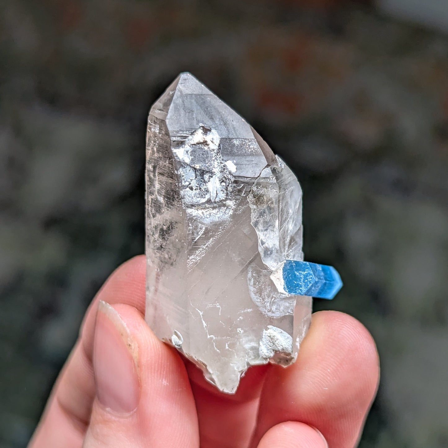 Vietnam Aquamarine and Quartz