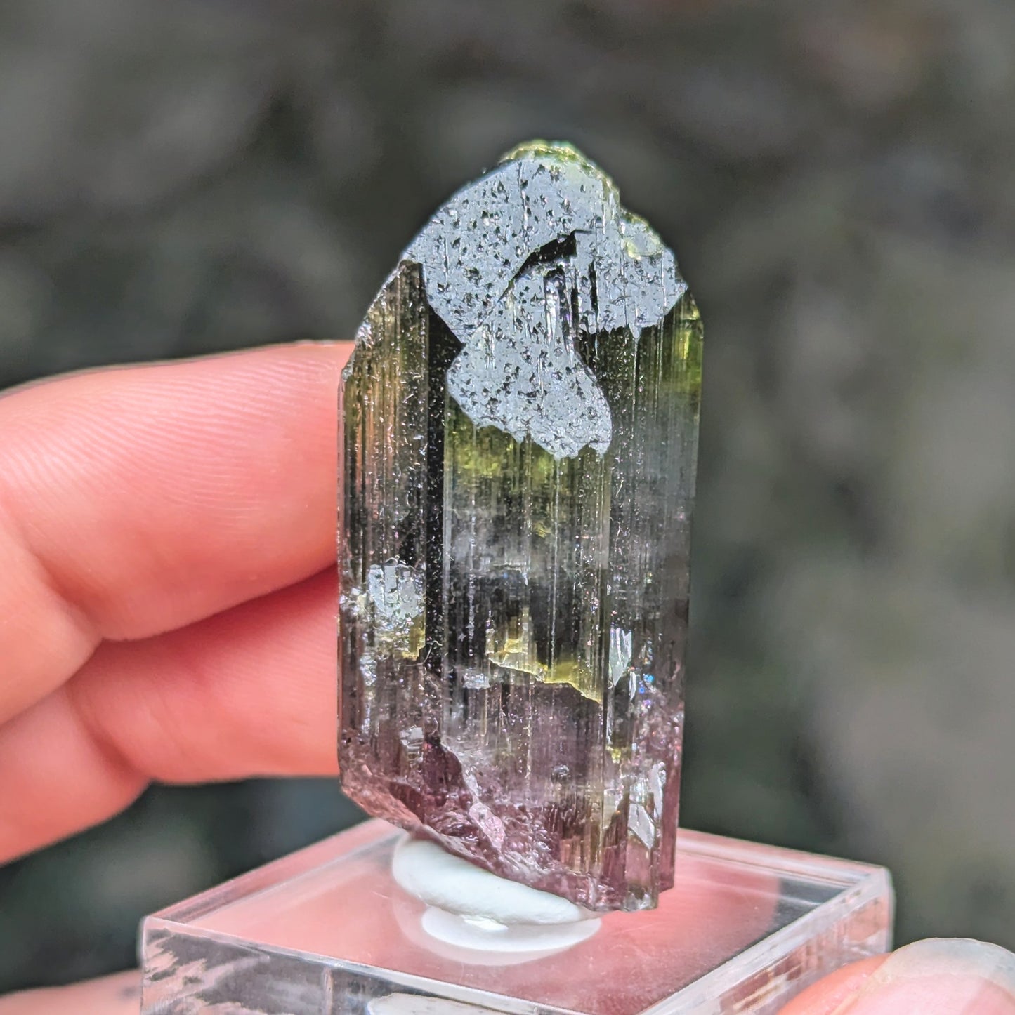 Cruzeiro Mine Tourmaline
