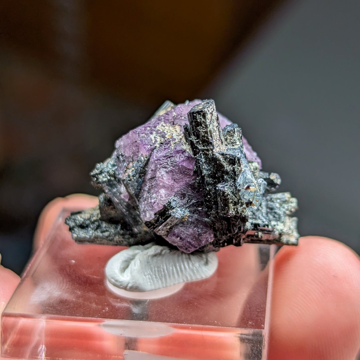 Erongo Fluorite with Aquamarine, Schorl