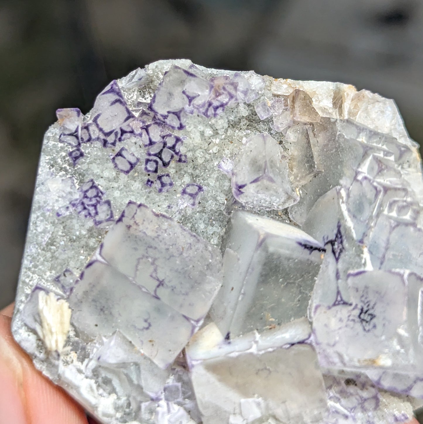 Guizhou Outline Fluorite