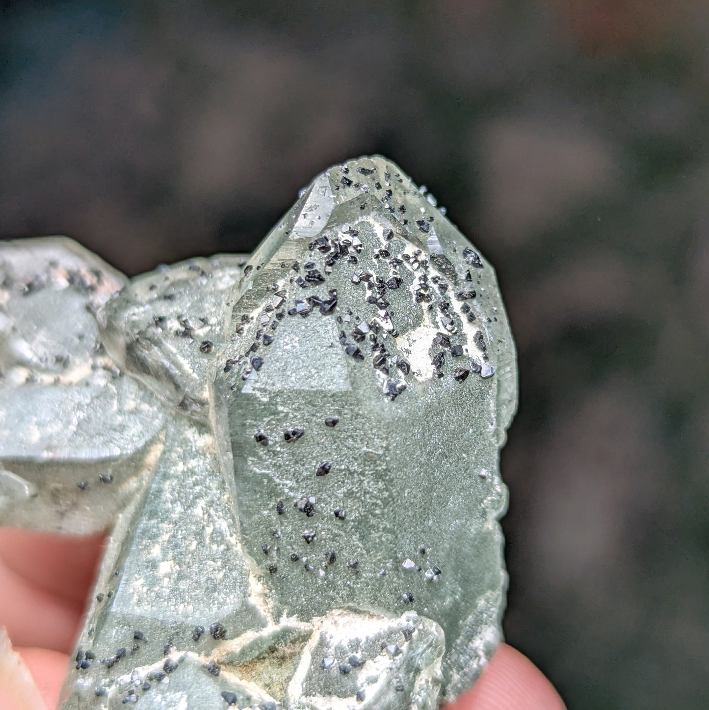 Himalayan Chlorite Quartz