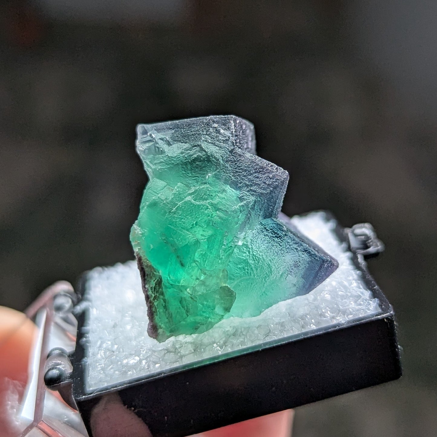 Okorusu Mine Fluorite Perky Box