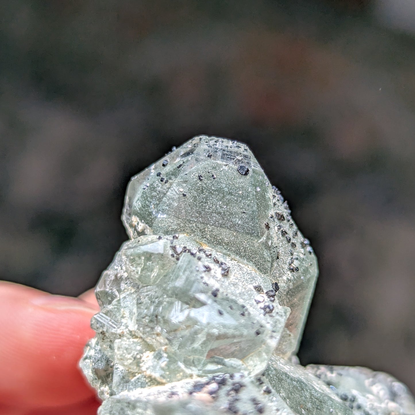 Himalayan Chlorite Quartz