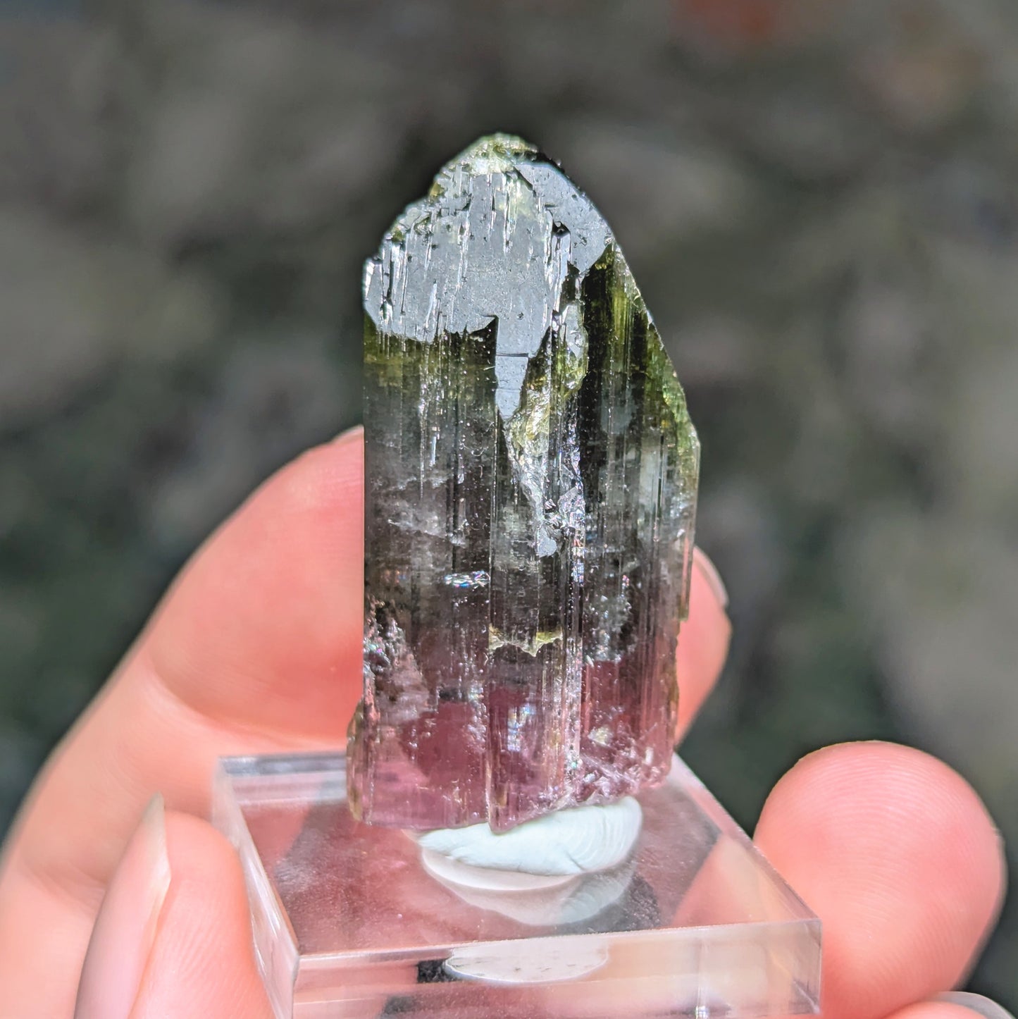 Cruzeiro Mine Tourmaline