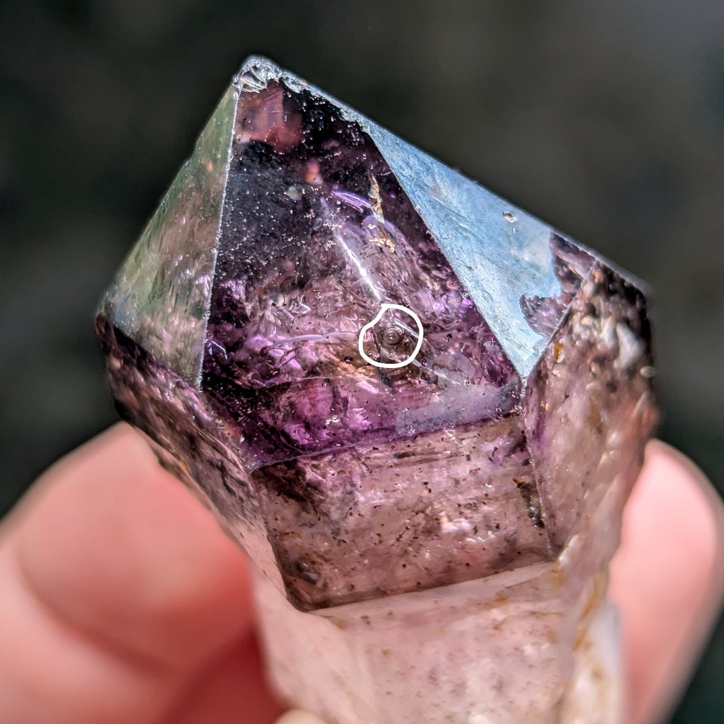 Chibuku Mine Amethyst Scepter w. Enhydro