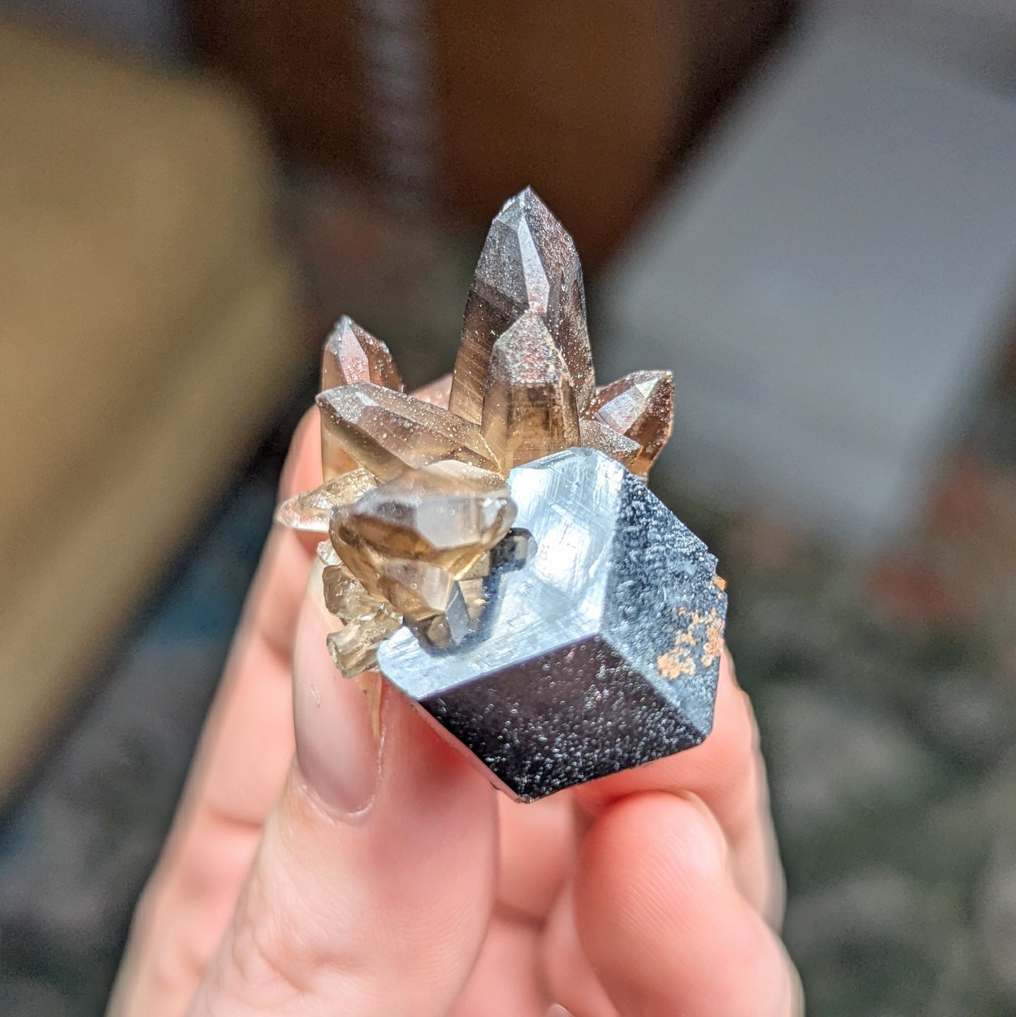 Erongo Smoky Quartz with Schorl