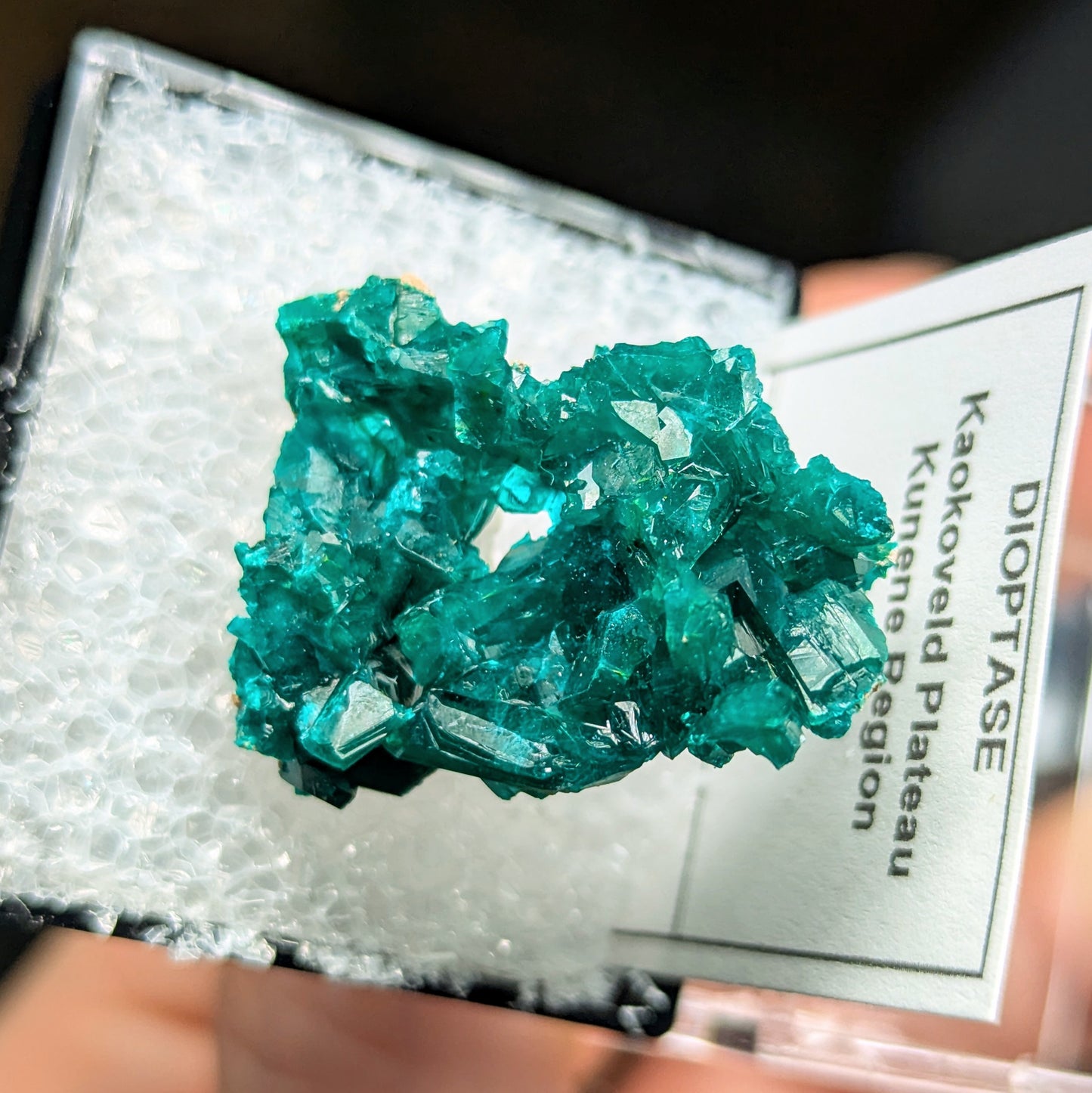 Dioptase Perky Box