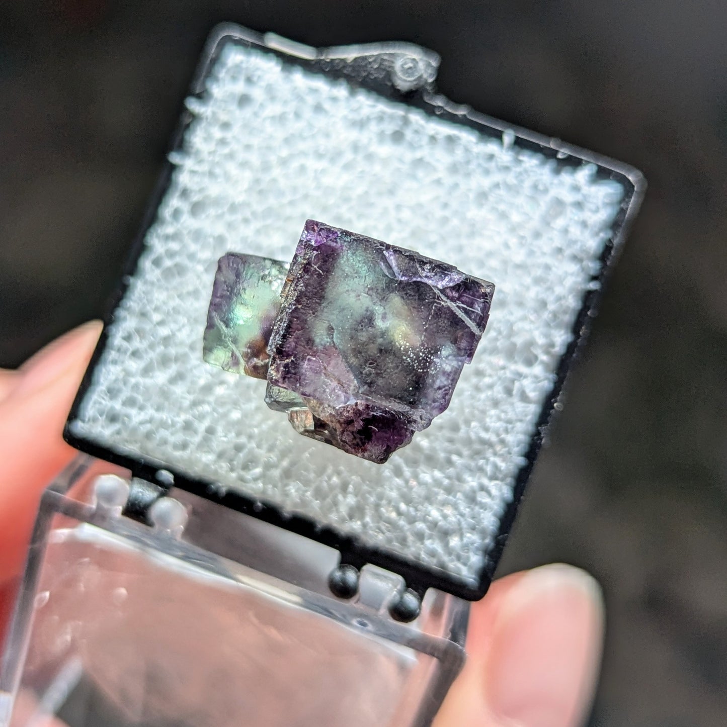Okorusu Mine Fluorite Perky Box