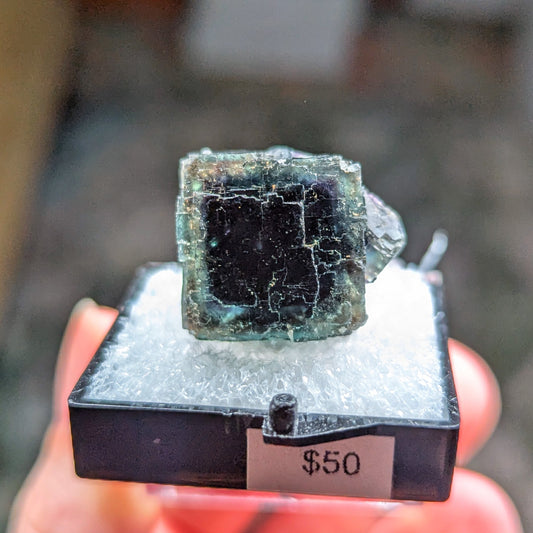 Okorusu Mine Fluorite Perky Box