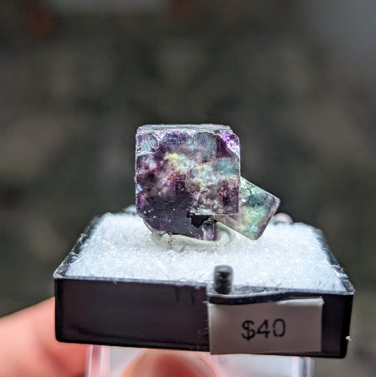 Okorusu Mine Fluorite Perky Box