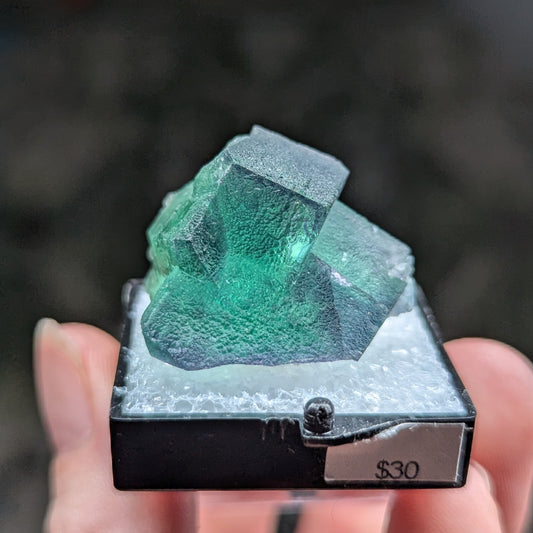 Okorusu Mine Fluorite Perky Box