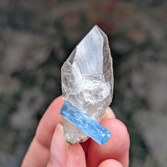 Vietnam Aquamarine and Quartz