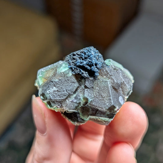 Erongo Fluorite and Schorl