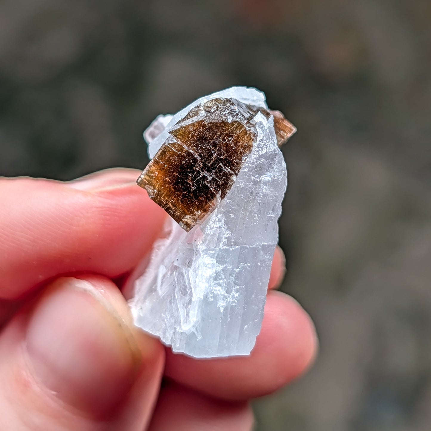 Clay Center Fluorite and Celestine