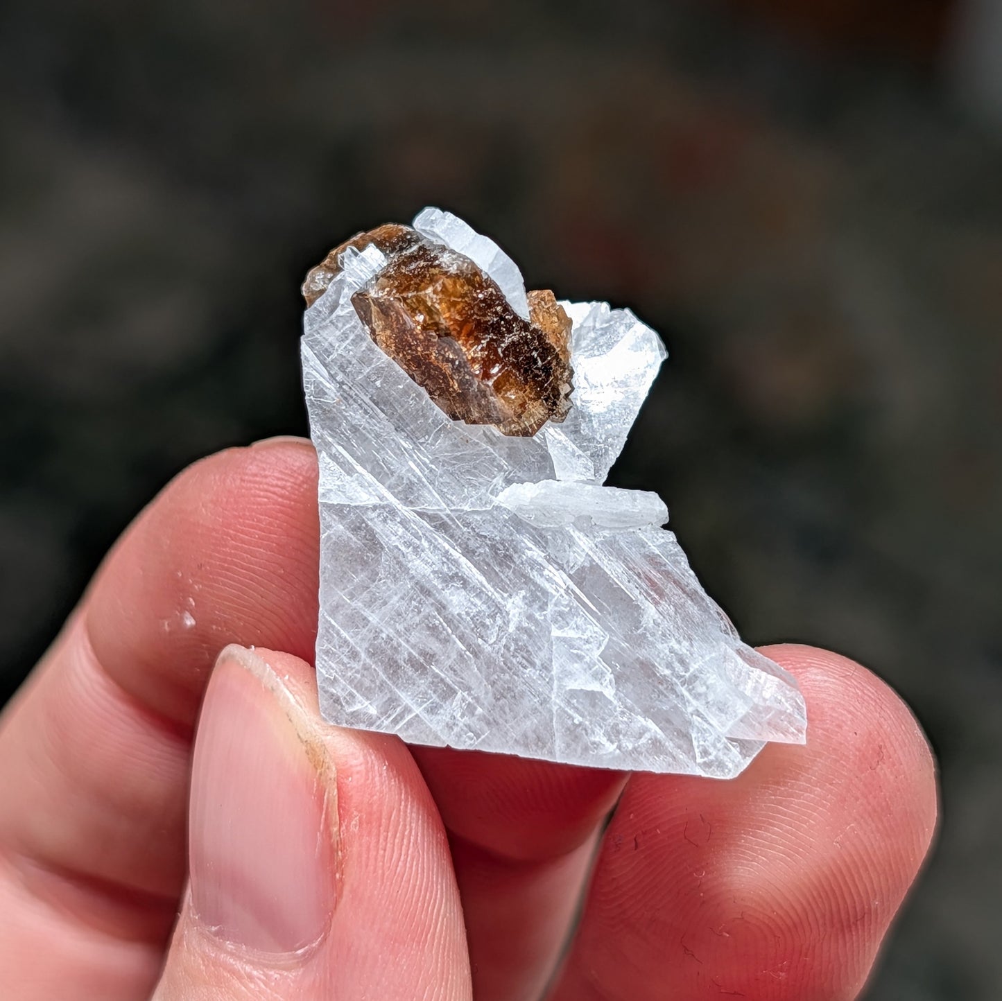 Clay Center Fluorite and Celestine