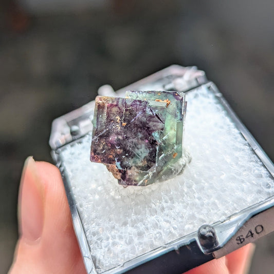 Okorusu Mine Fluorite Perky Box
