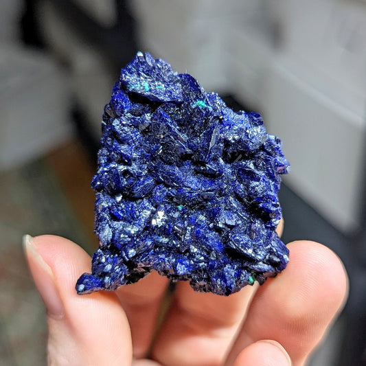 Milpillas Mine Azurite